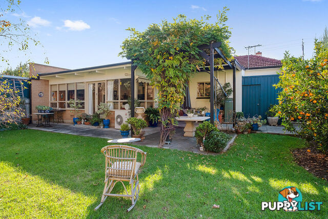 7 Glenburnie Terrace PLYMPTON SA 5038