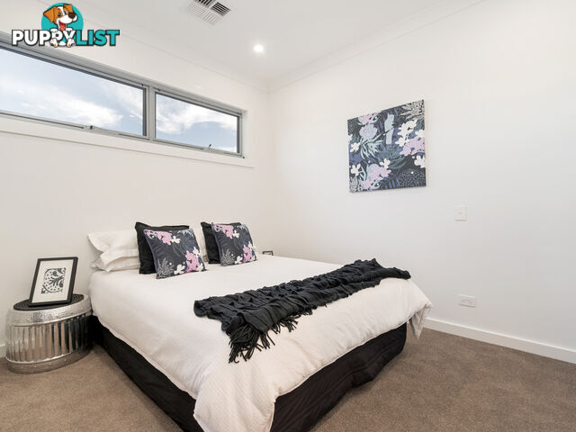 125 Cliff Street GLENGOWRIE SA 5044