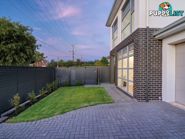 125 Cliff Street GLENGOWRIE SA 5044