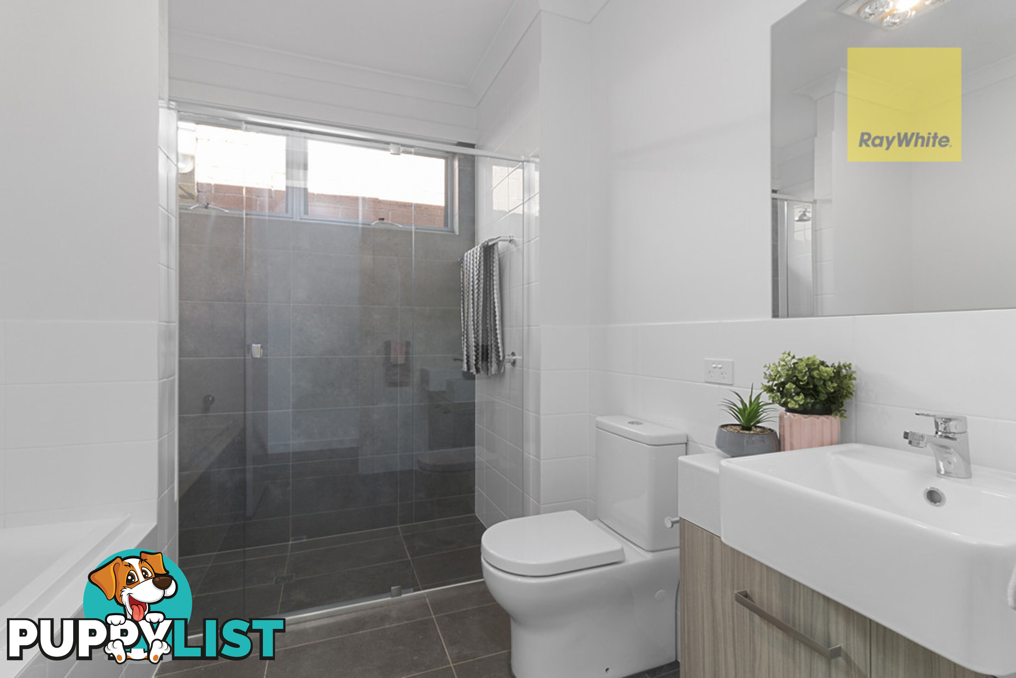 125B Cliff Street GLENGOWRIE SA 5044