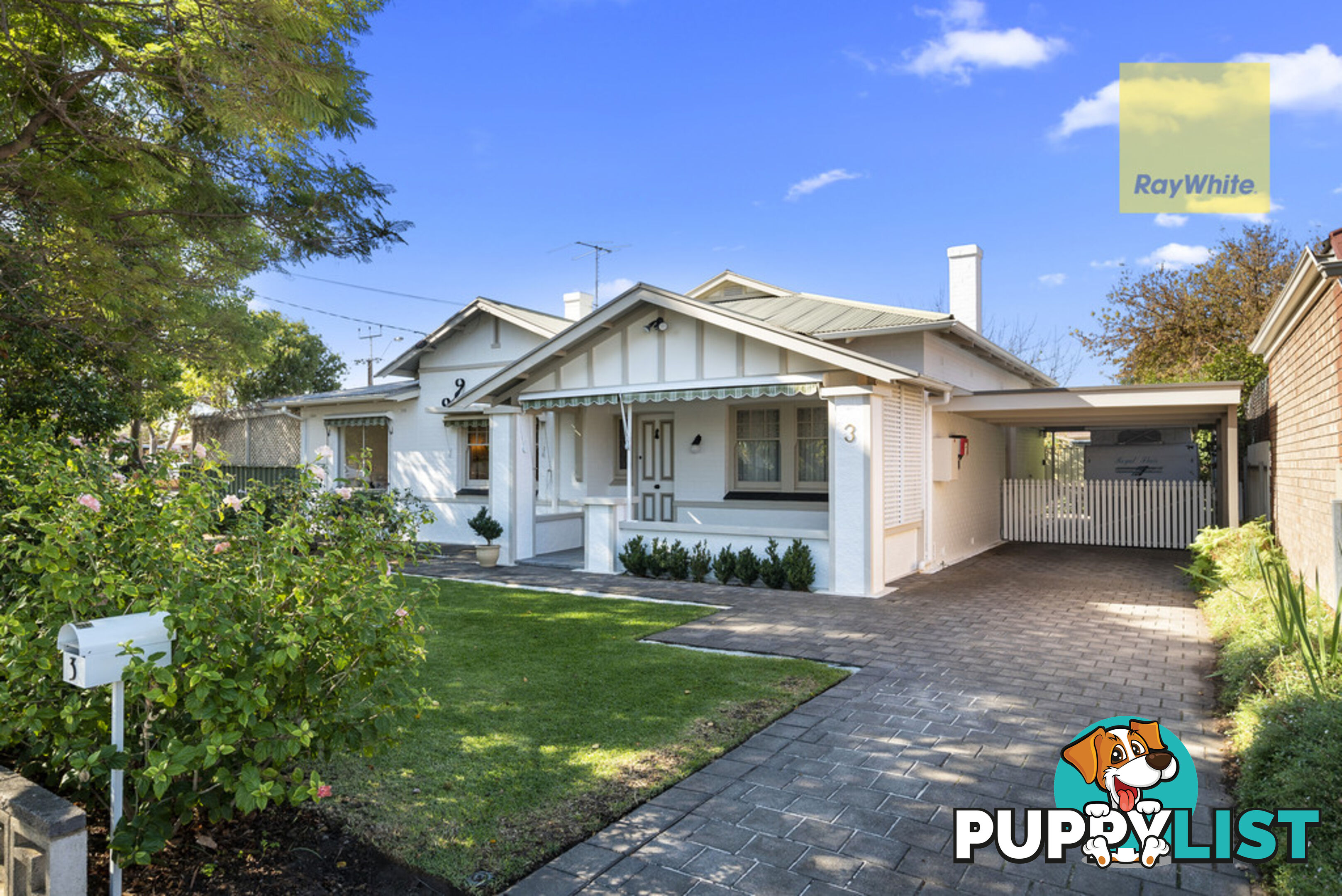 3 Colin Street CAMDEN PARK SA 5038