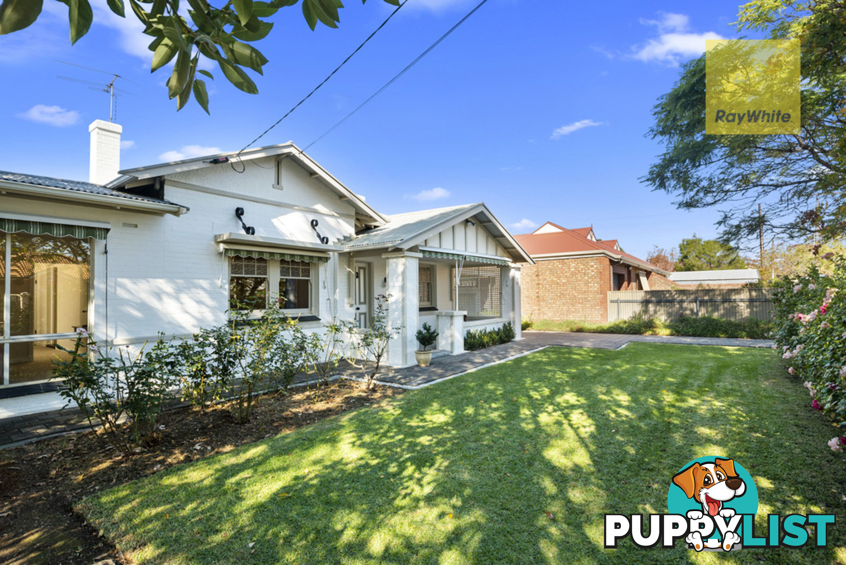 3 Colin Street CAMDEN PARK SA 5038