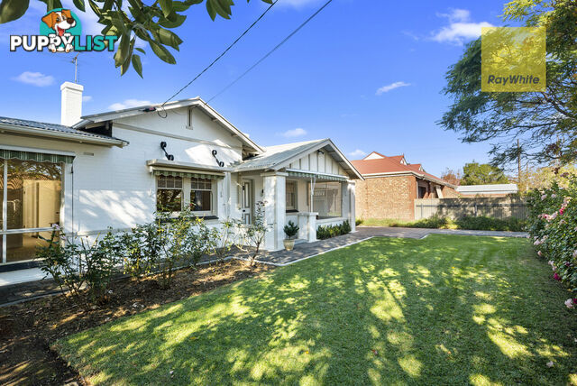 3 Colin Street CAMDEN PARK SA 5038