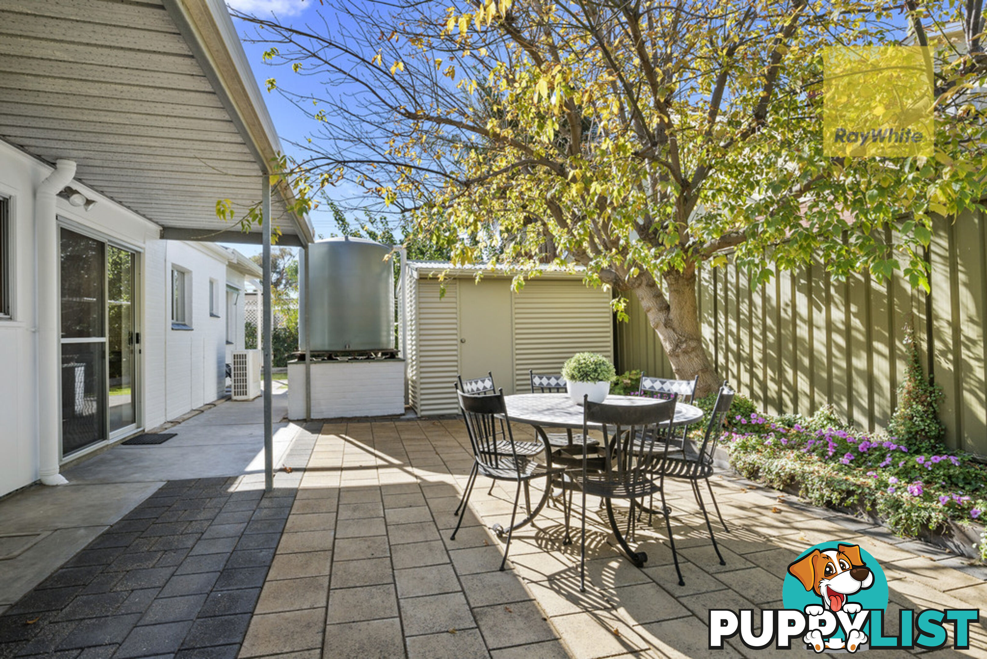 3 Colin Street CAMDEN PARK SA 5038