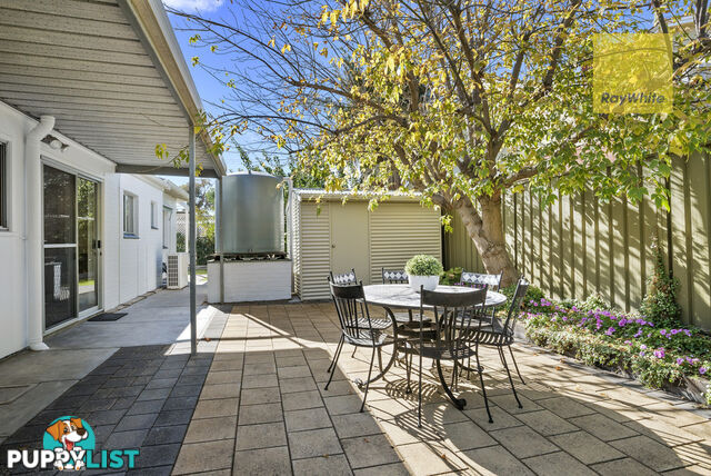 3 Colin Street CAMDEN PARK SA 5038