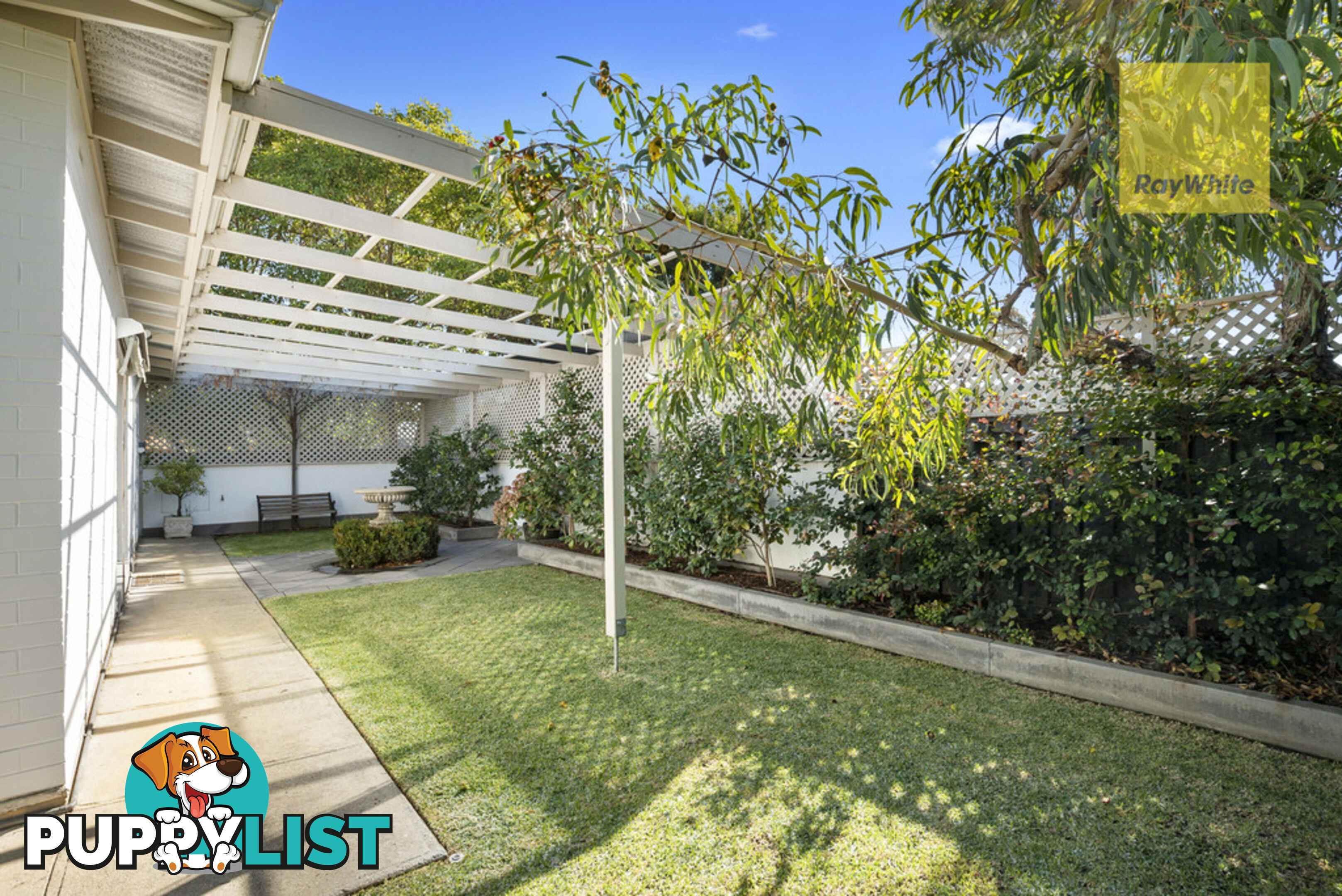 3 Colin Street CAMDEN PARK SA 5038