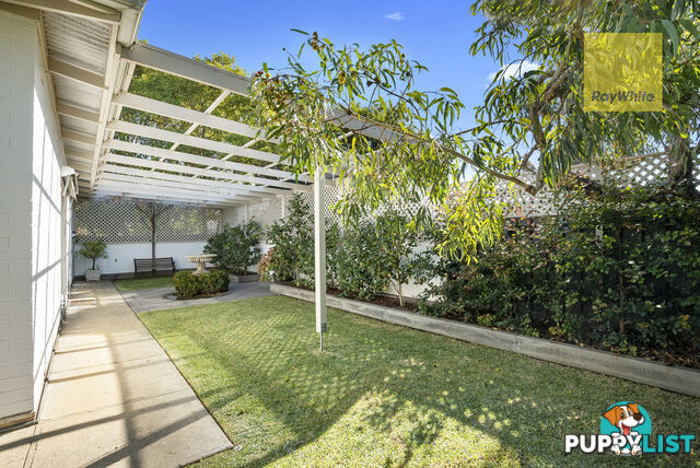 3 Colin Street CAMDEN PARK SA 5038