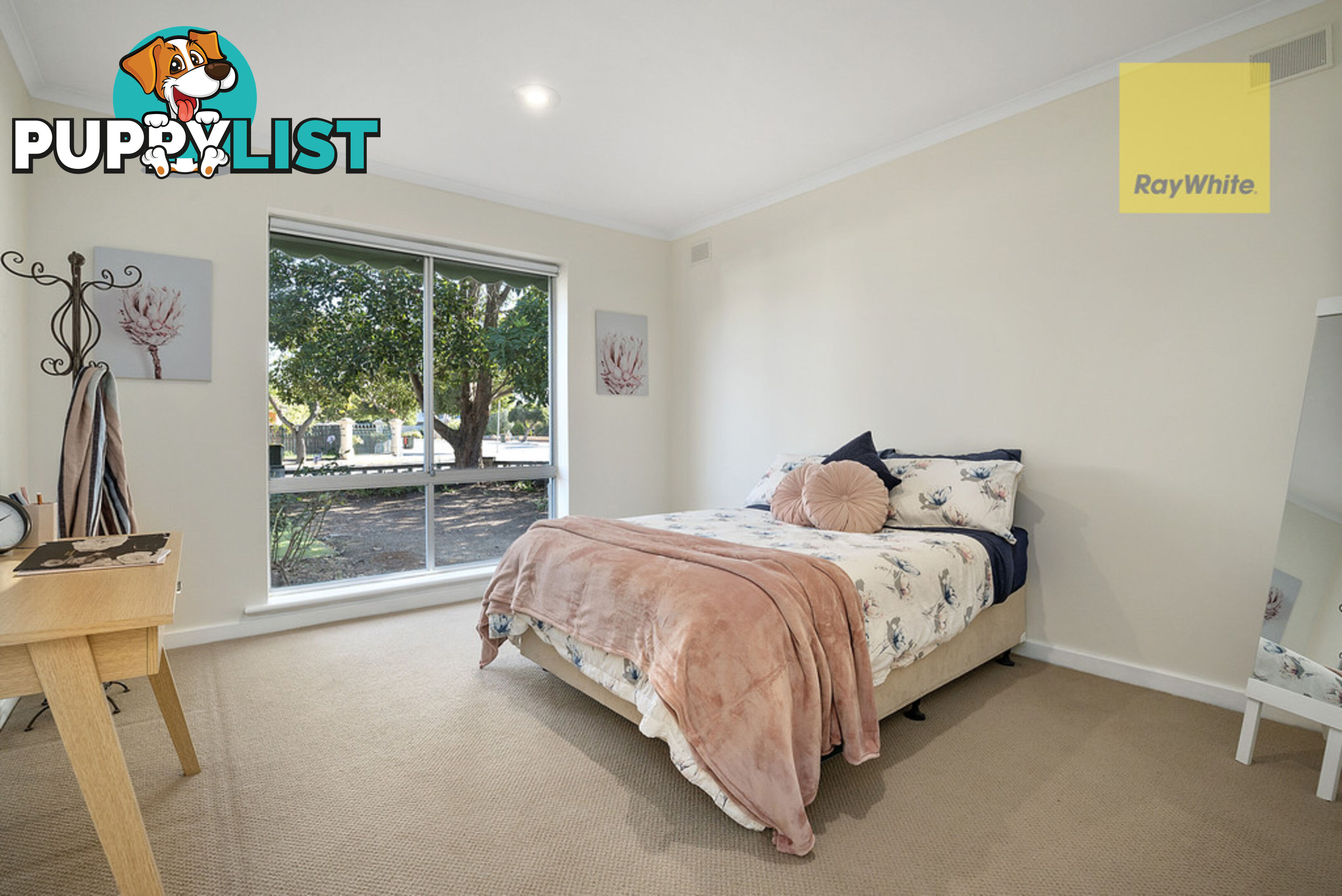 3 Colin Street CAMDEN PARK SA 5038