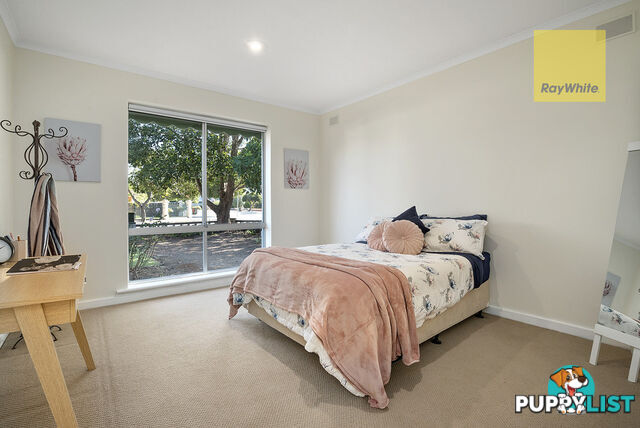 3 Colin Street CAMDEN PARK SA 5038