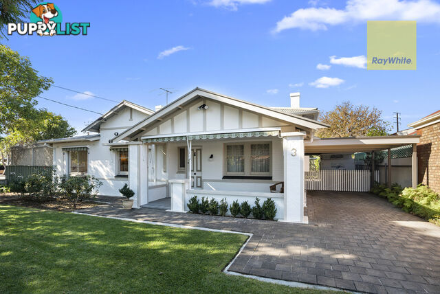 3 Colin Street CAMDEN PARK SA 5038