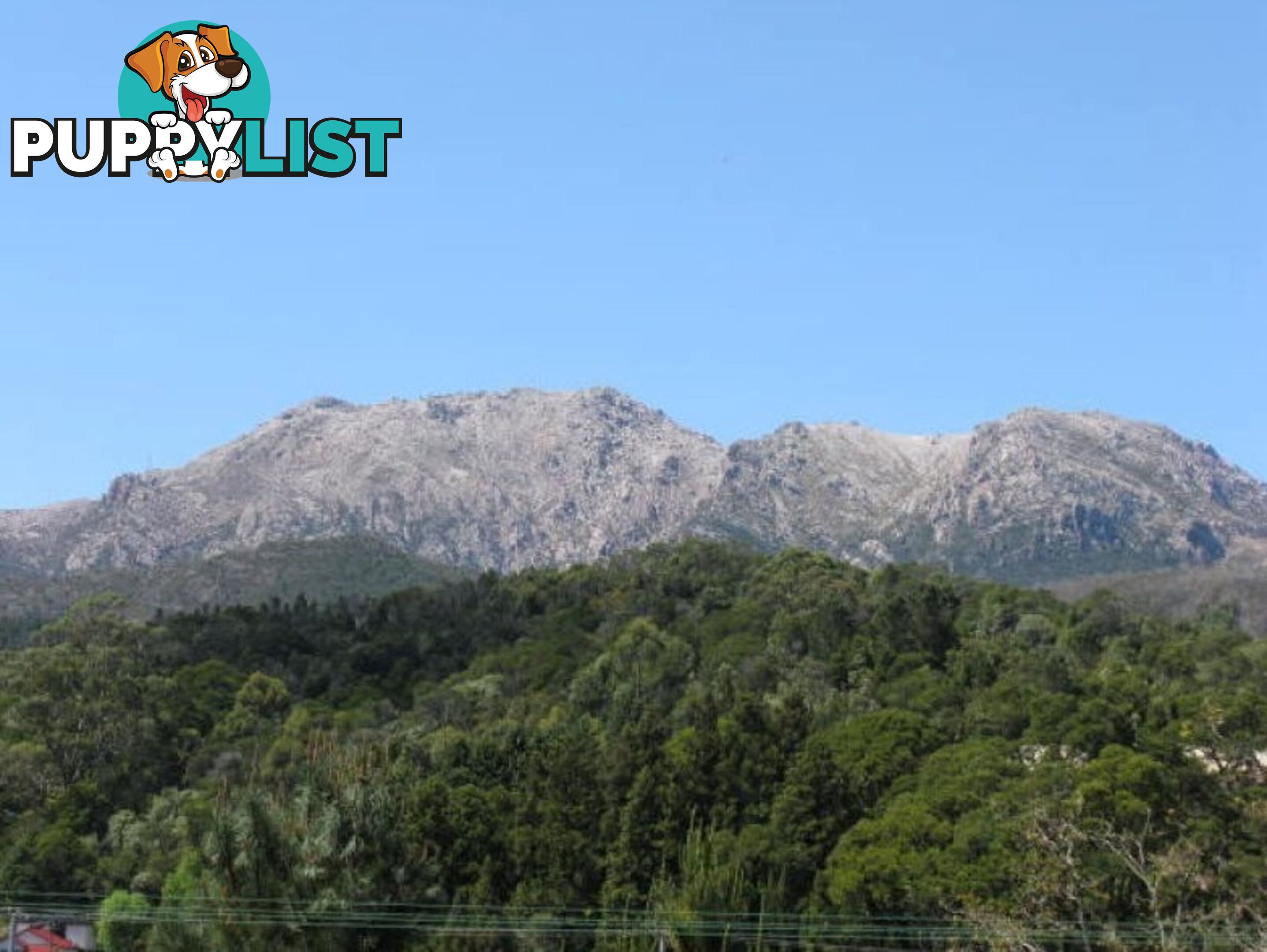 76 Esplanade QUEENSTOWN TAS 7467