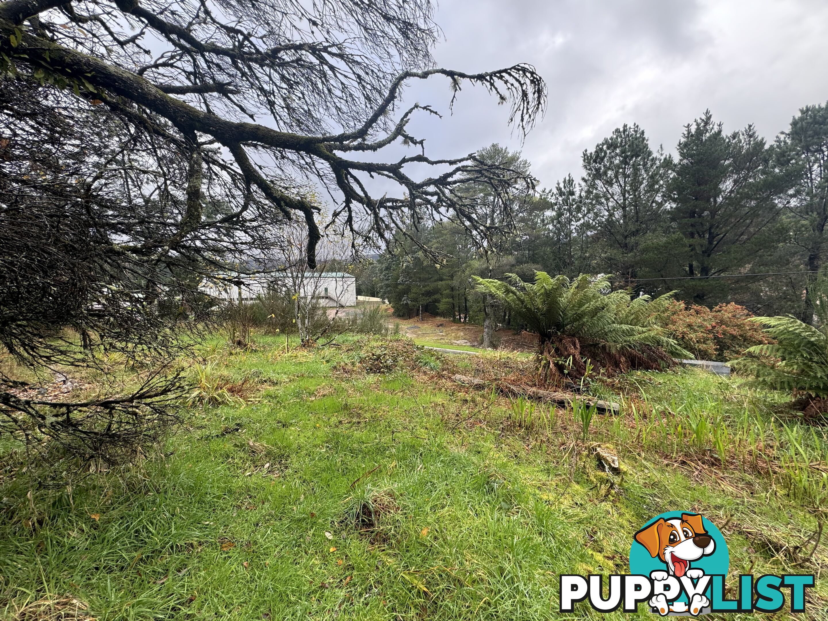 76 Esplanade QUEENSTOWN TAS 7467