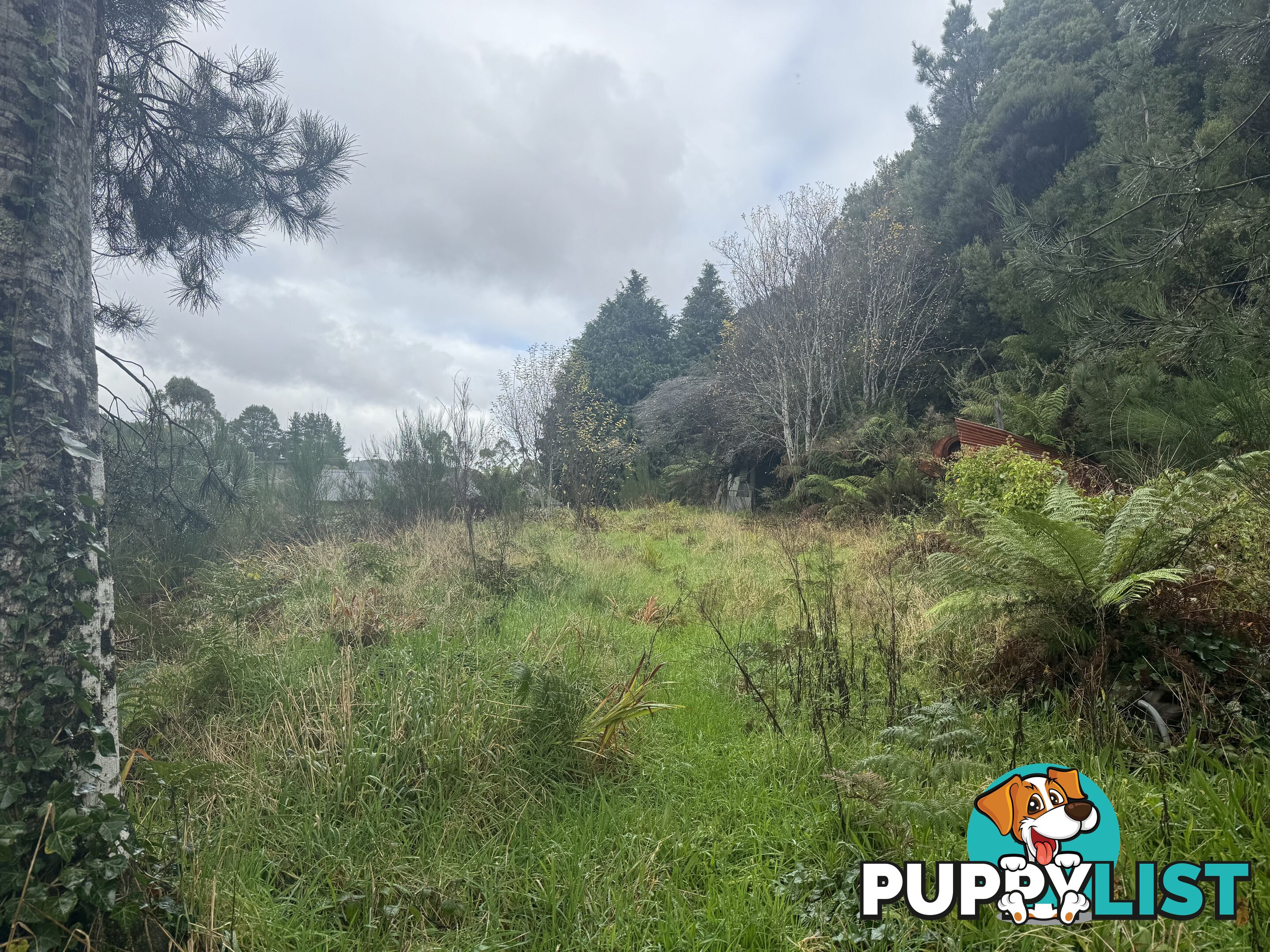 76 Esplanade QUEENSTOWN TAS 7467