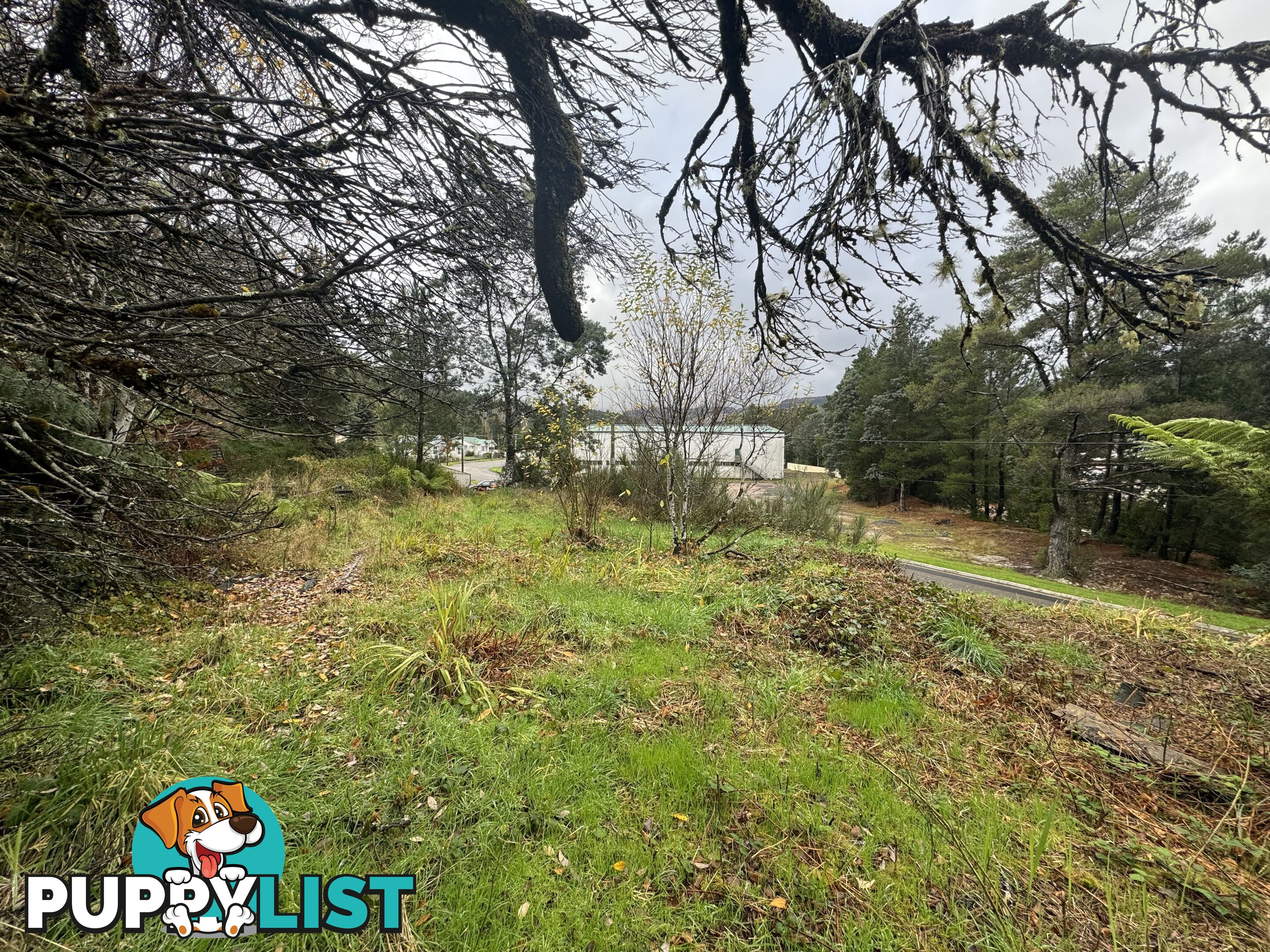 76 Esplanade QUEENSTOWN TAS 7467