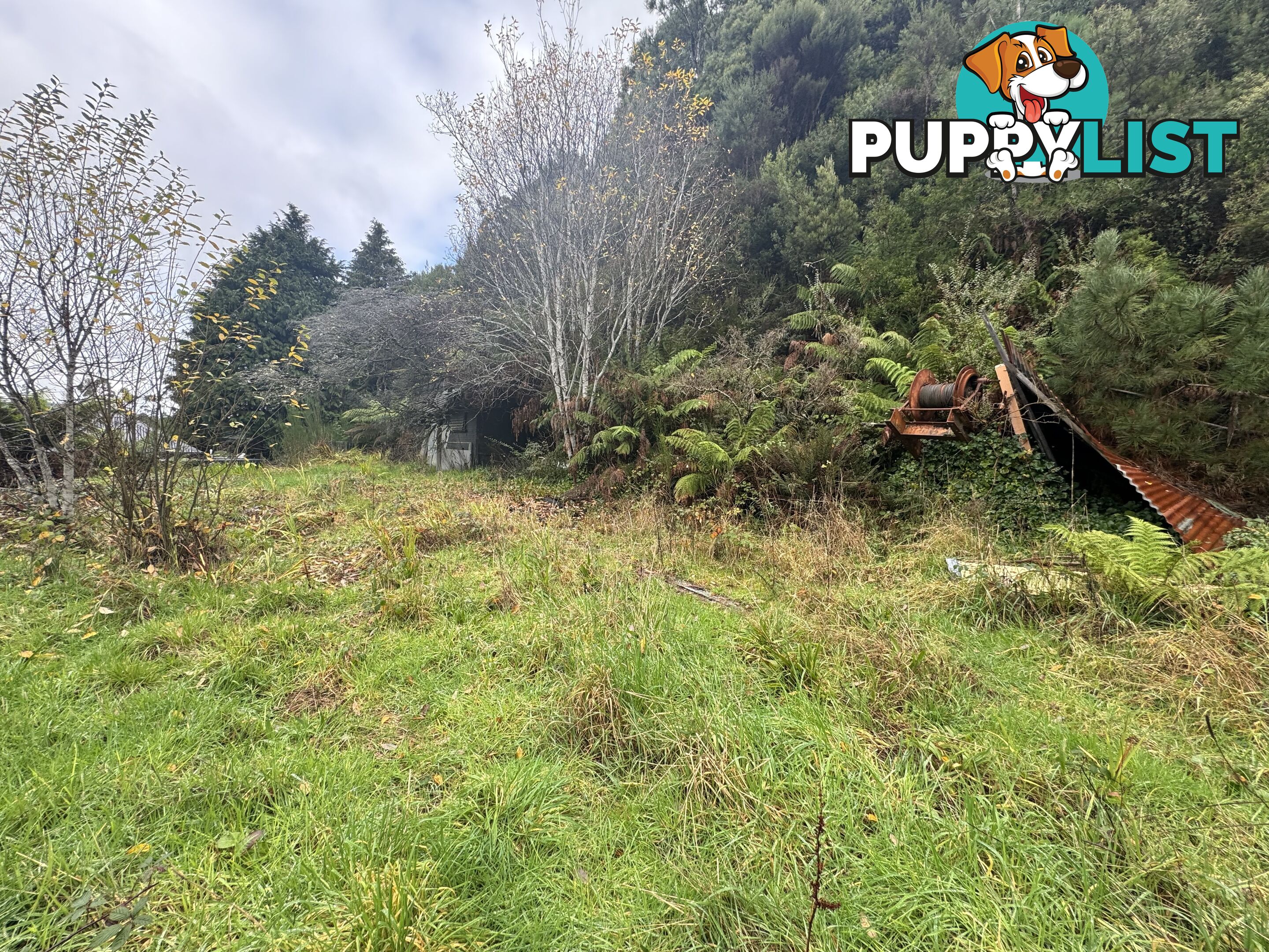 76 Esplanade QUEENSTOWN TAS 7467