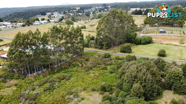 69 Ritchie Street WARATAH TAS 7321