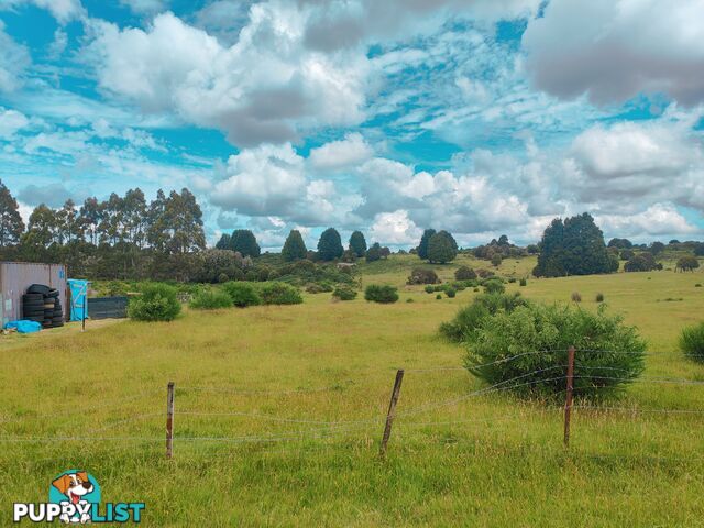 6 English Street WARATAH TAS 7321