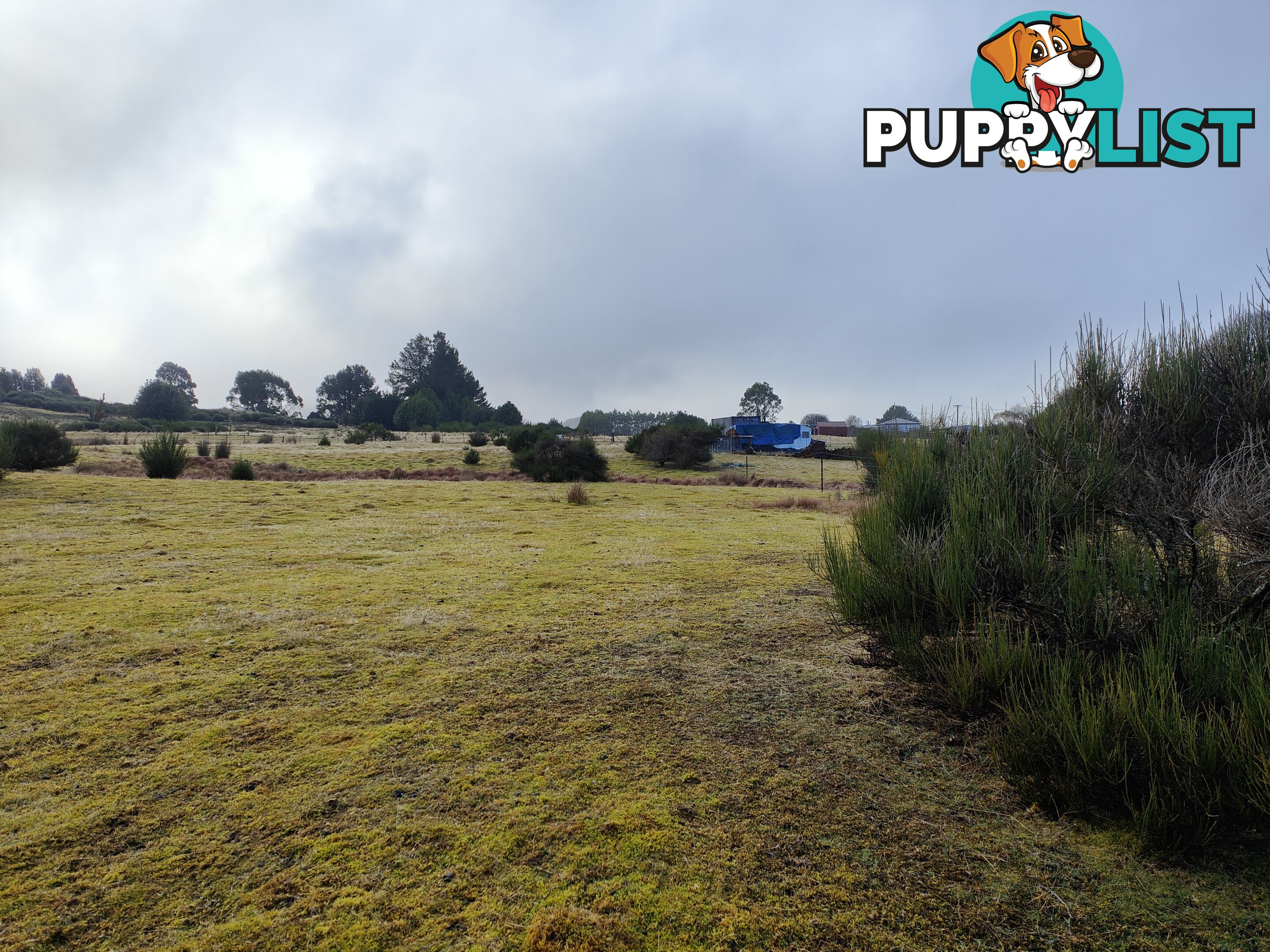 Lot 6 English Street, Wartah Tasmania 7321 WARATAH TAS 7321