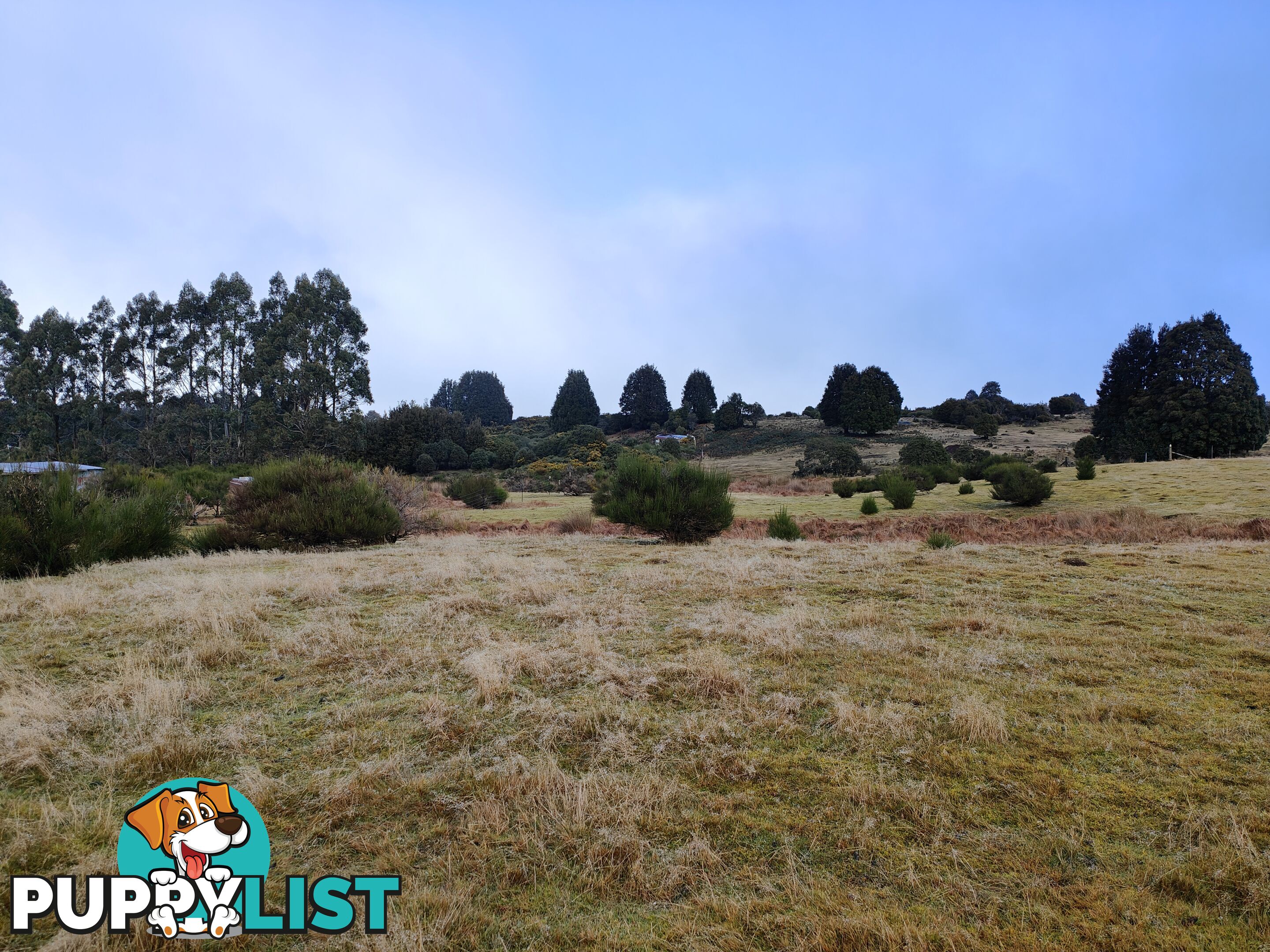 Lot 6 English Street, Wartah Tasmania 7321 WARATAH TAS 7321