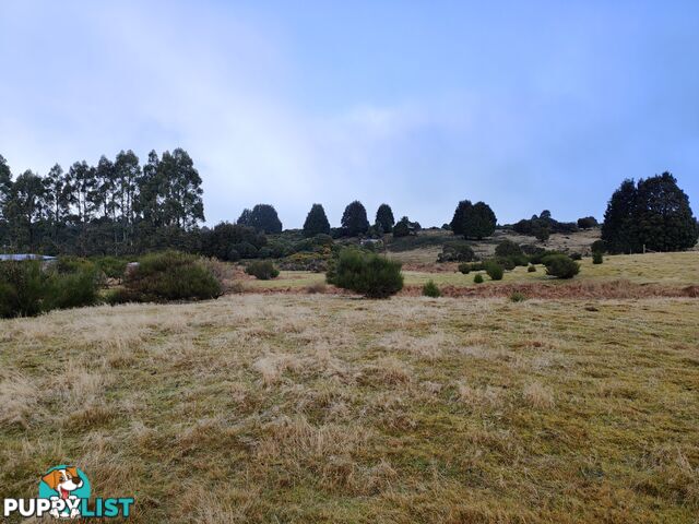Lot 6 English Street, Wartah Tasmania 7321 WARATAH TAS 7321