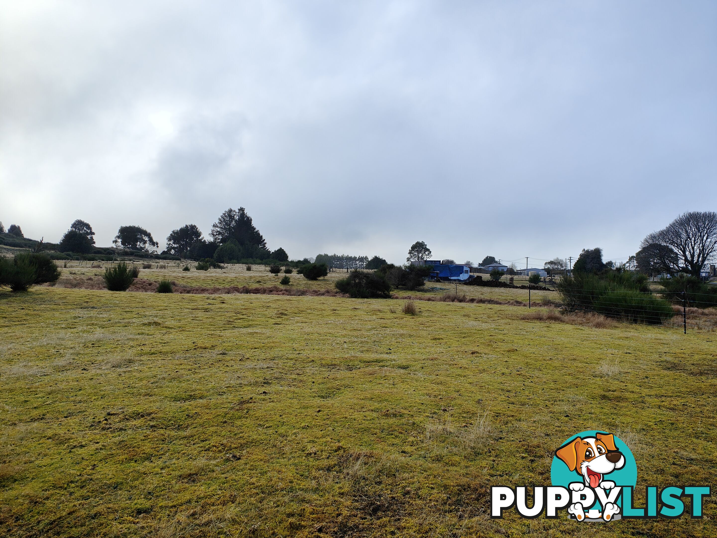Lot 6 English Street, Wartah Tasmania 7321 WARATAH TAS 7321