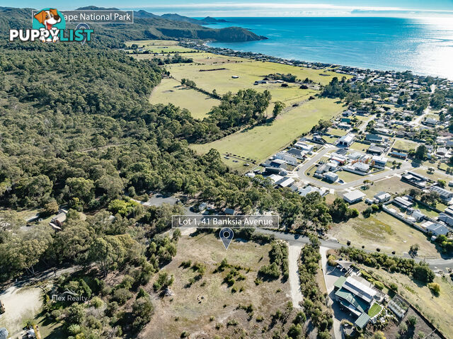 41 Banksia Avenue SISTERS BEACH TAS 7321