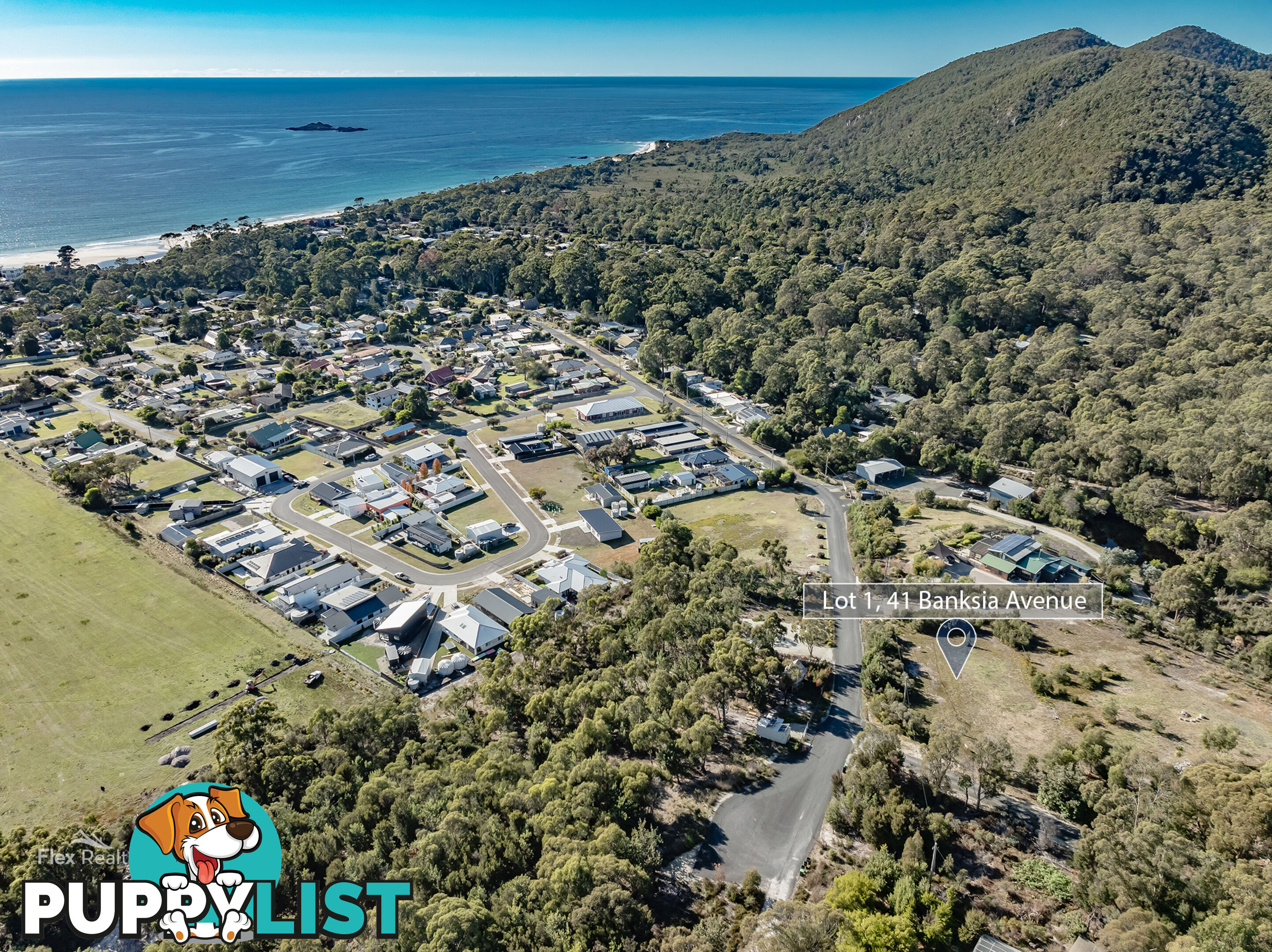 41 Banksia Avenue SISTERS BEACH TAS 7321