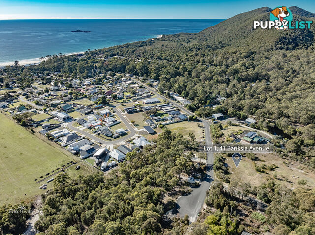 41 Banksia Avenue SISTERS BEACH TAS 7321