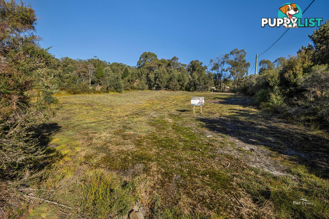 41 Banksia Avenue SISTERS BEACH TAS 7321