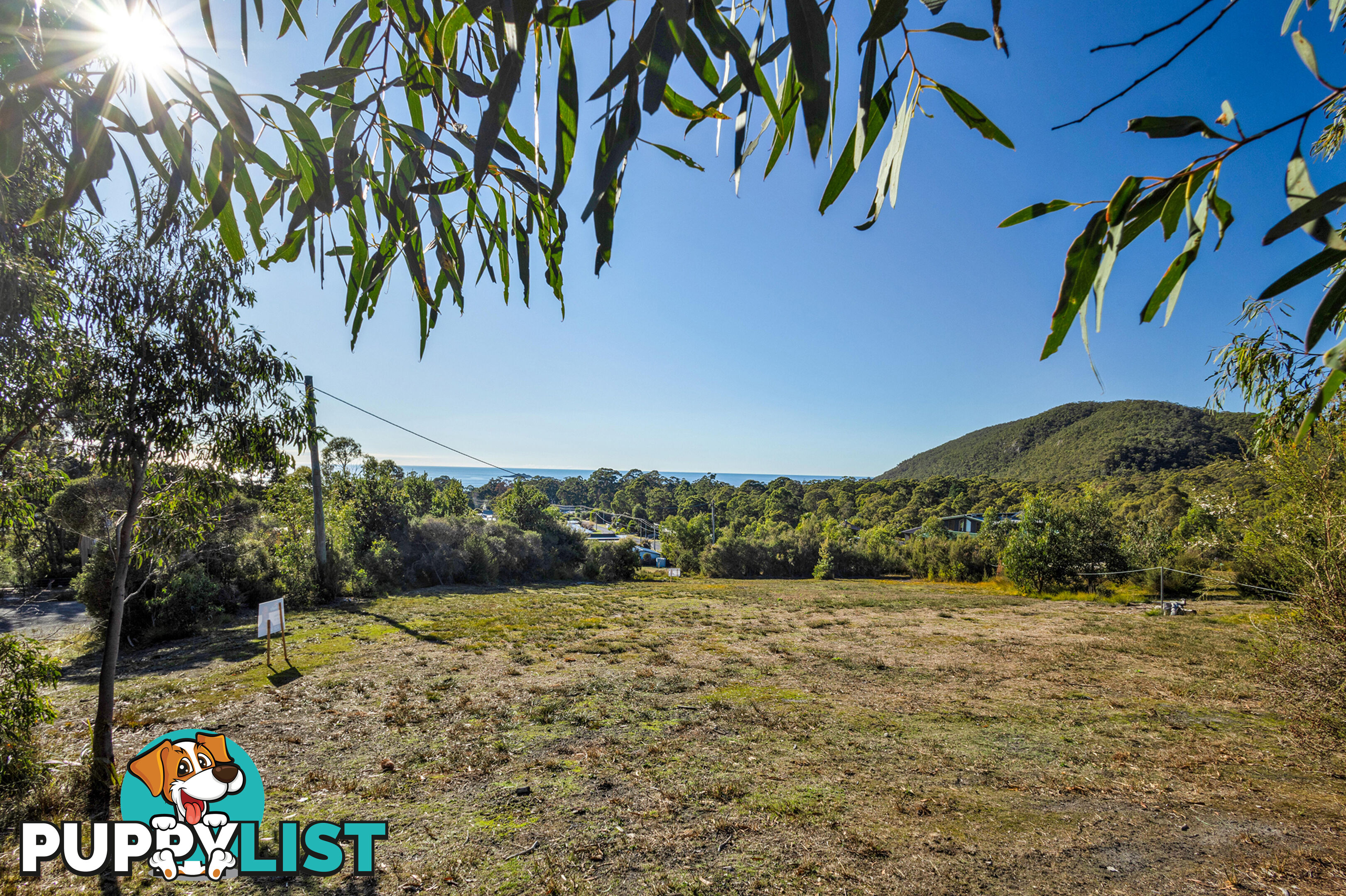 41 Banksia Avenue SISTERS BEACH TAS 7321