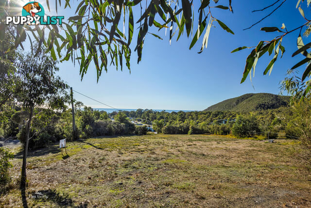 41 Banksia Avenue SISTERS BEACH TAS 7321