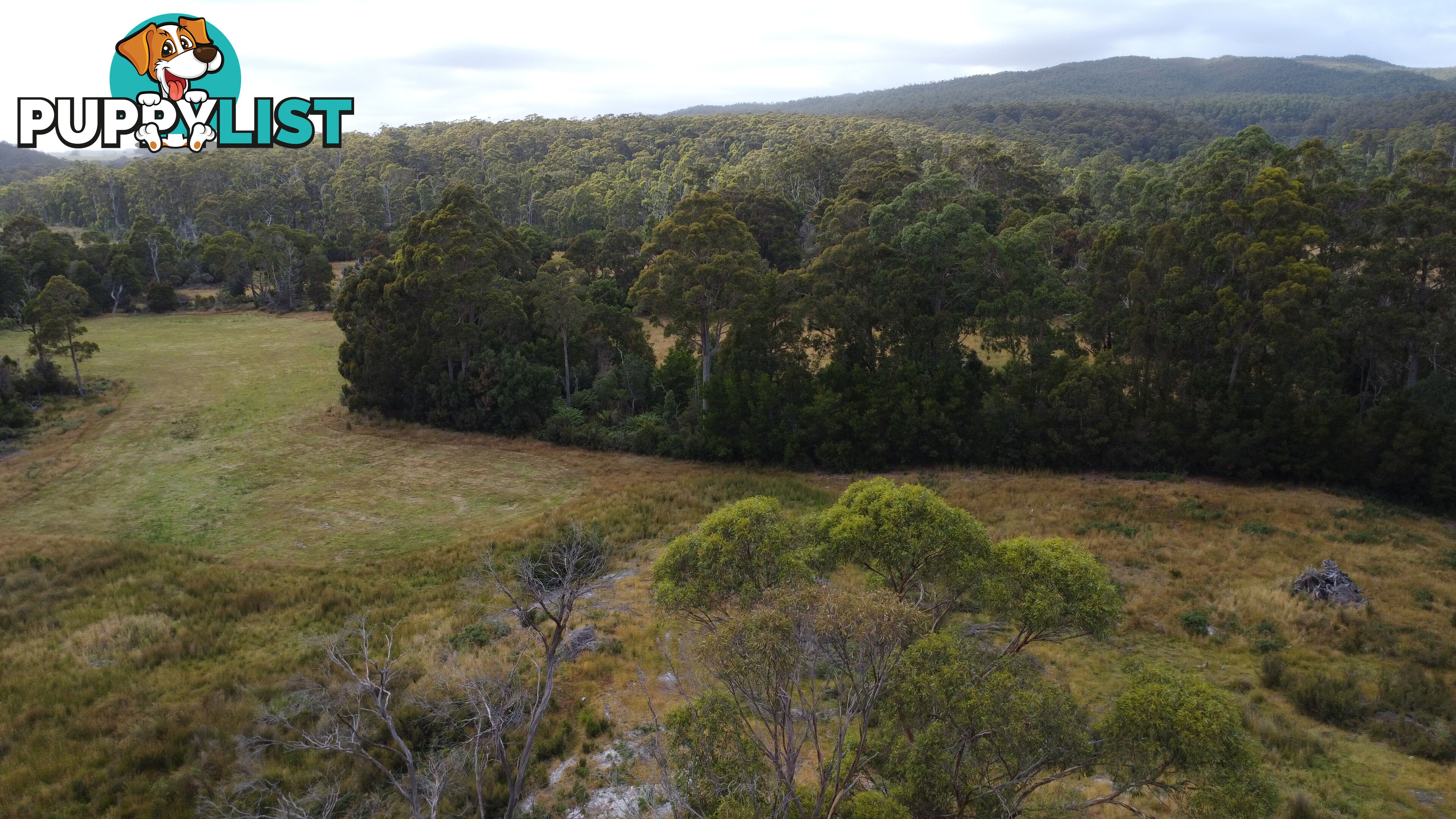 Lot 2 Coopers Road ROCKY CAPE TAS 7321