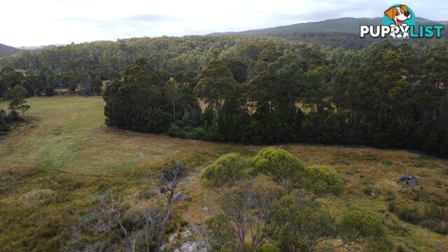 Lot 2 Coopers Road ROCKY CAPE TAS 7321