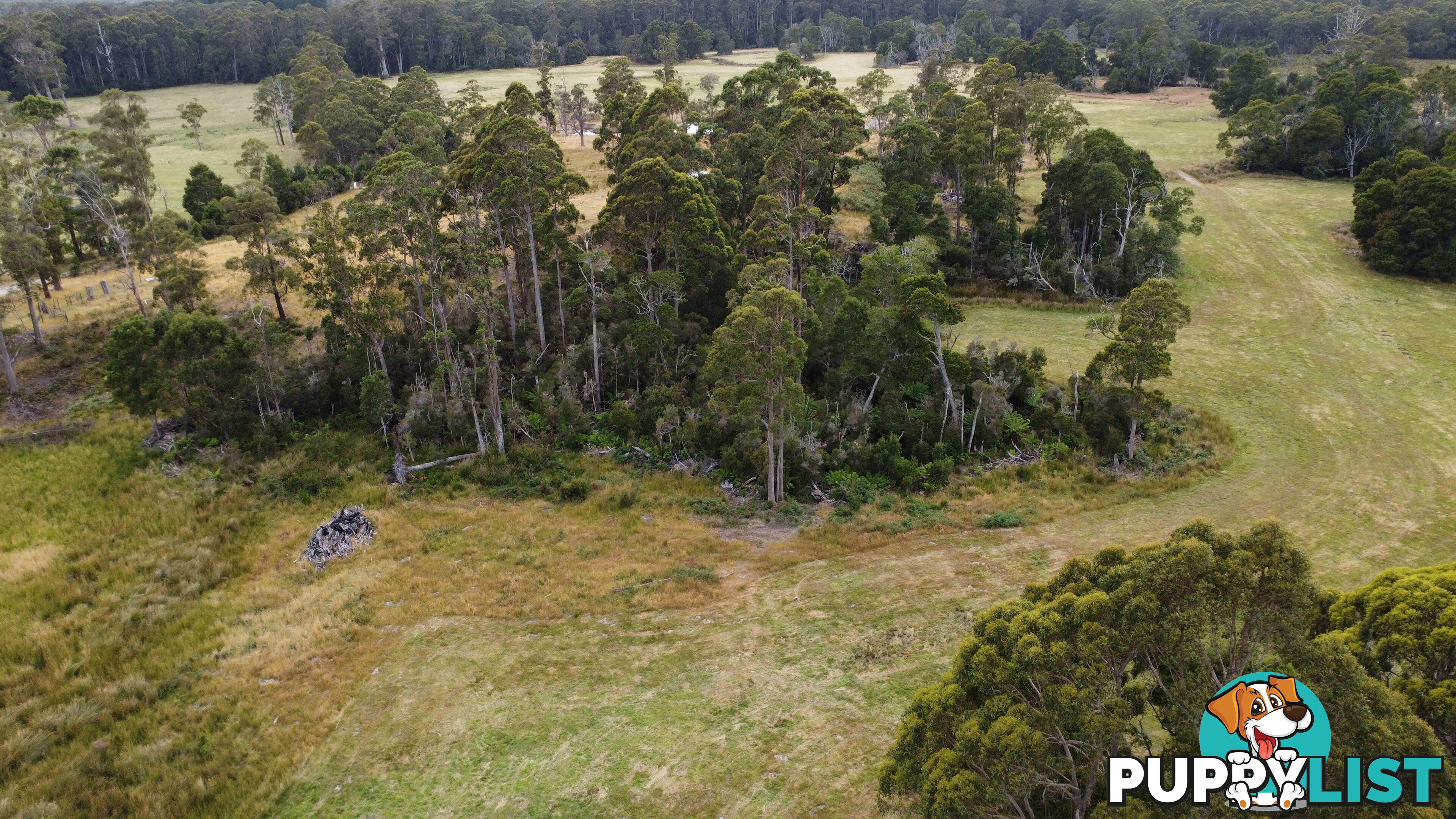 Lot 2 Coopers Road ROCKY CAPE TAS 7321