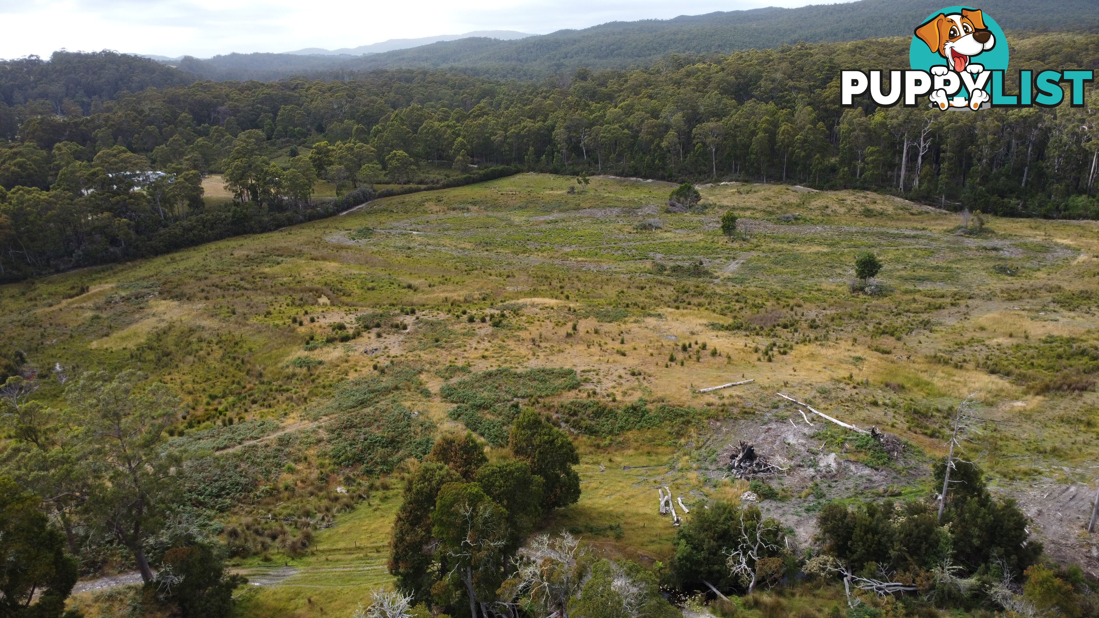 Lot 2 Coopers Road ROCKY CAPE TAS 7321