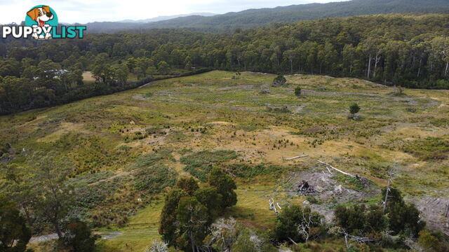 Lot 2 Coopers Road ROCKY CAPE TAS 7321