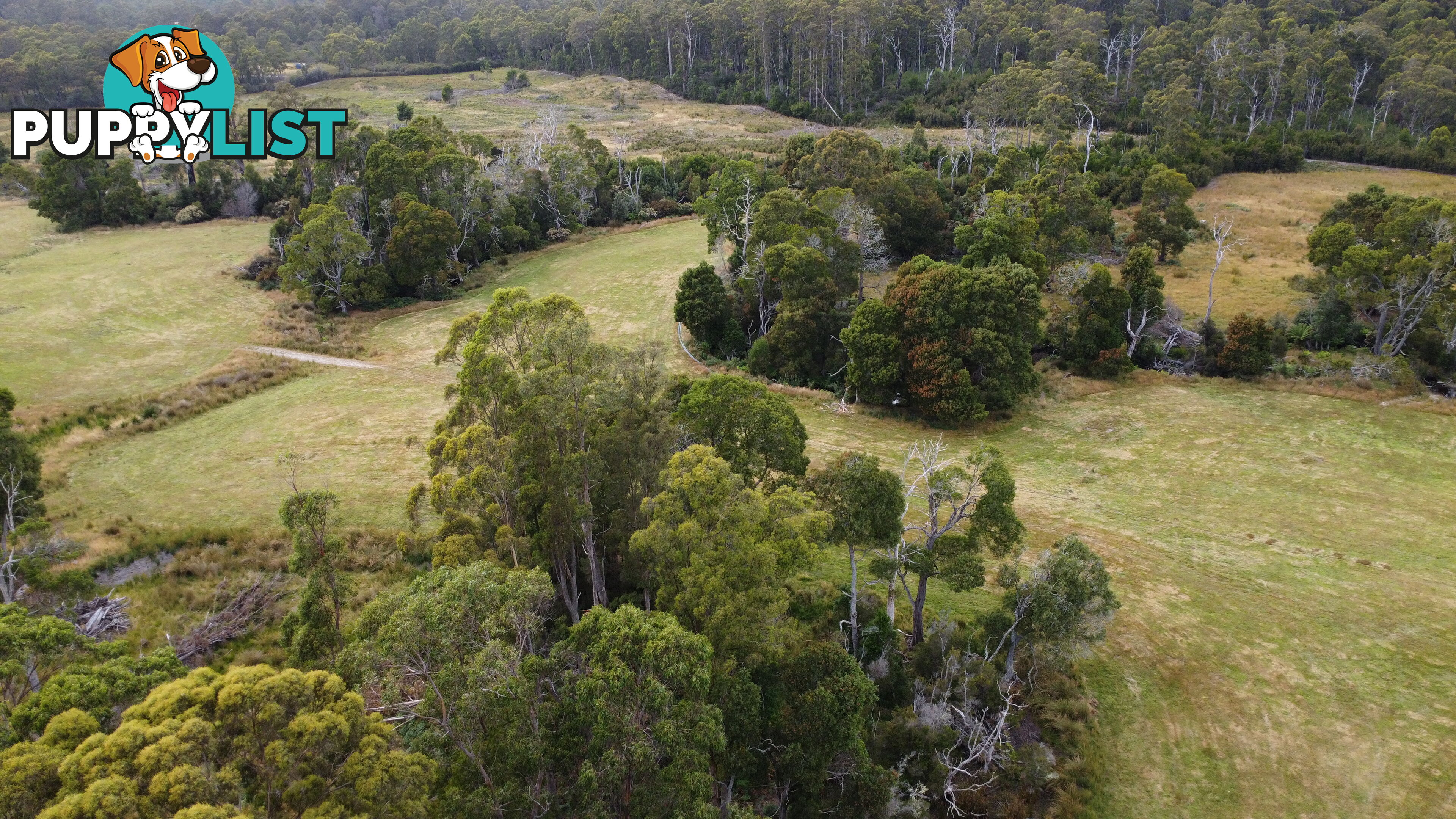 Lot 2 Coopers Road ROCKY CAPE TAS 7321