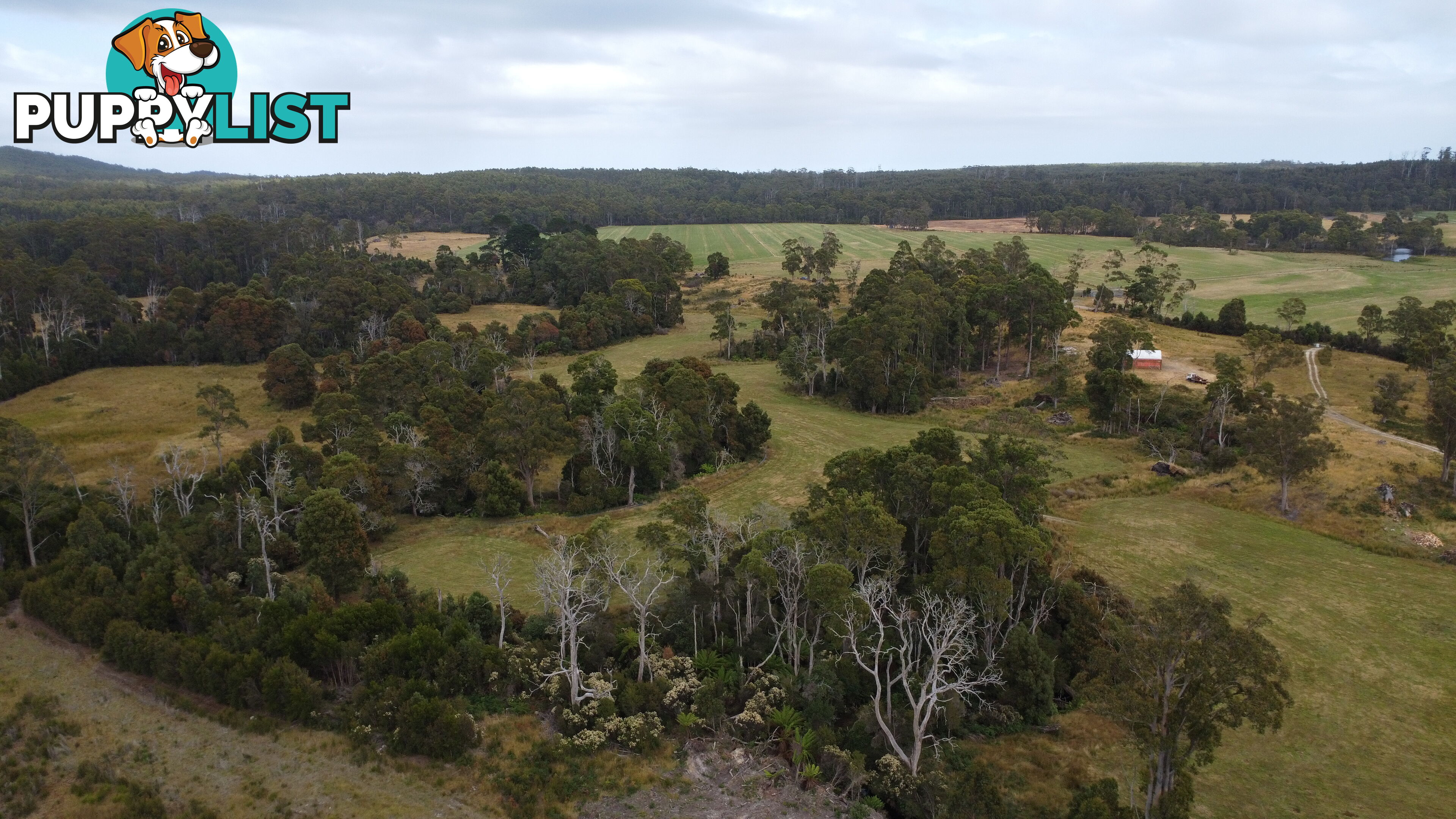 Lot 2 Coopers Road ROCKY CAPE TAS 7321