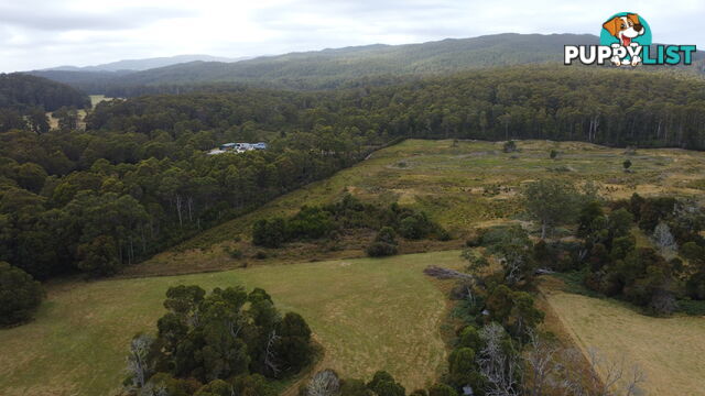 Lot 2 Coopers Road ROCKY CAPE TAS 7321