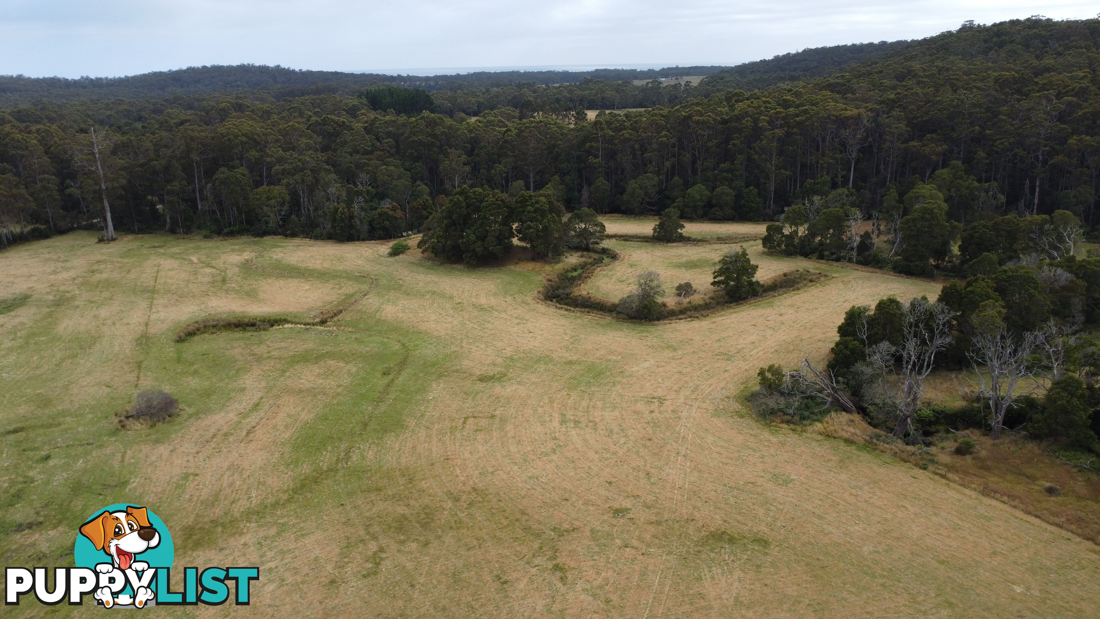 Lot 2 Coopers Road ROCKY CAPE TAS 7321