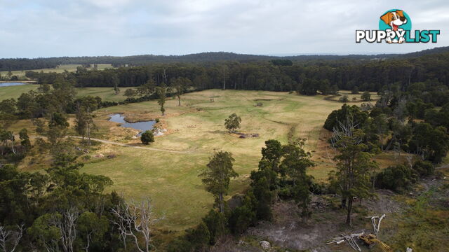 Lot 2 Coopers Road ROCKY CAPE TAS 7321