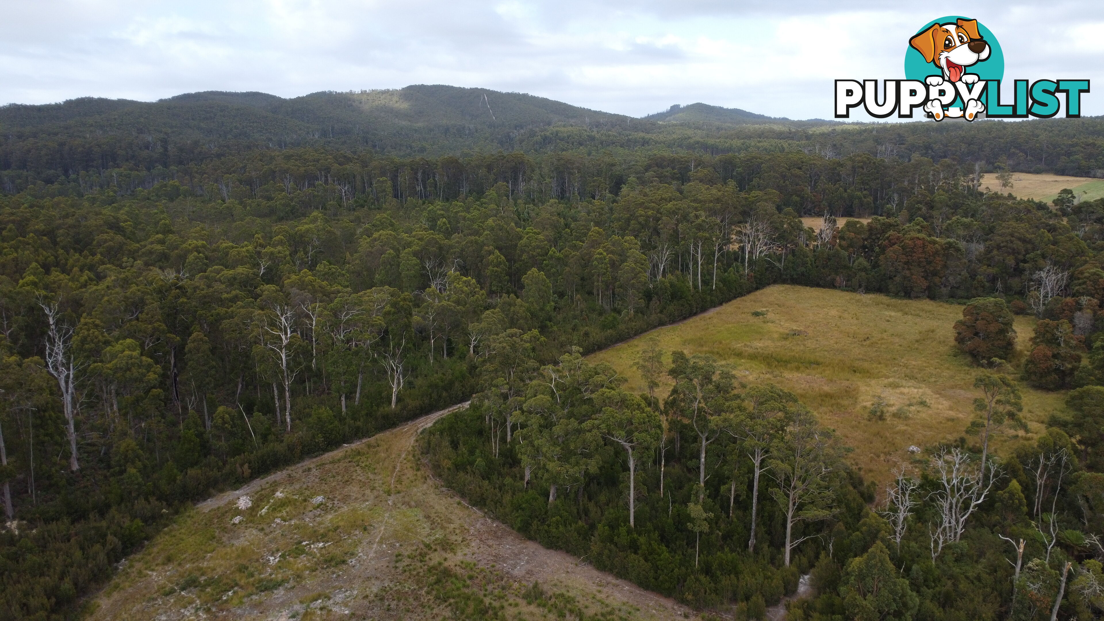 Lot 2 Coopers Road ROCKY CAPE TAS 7321