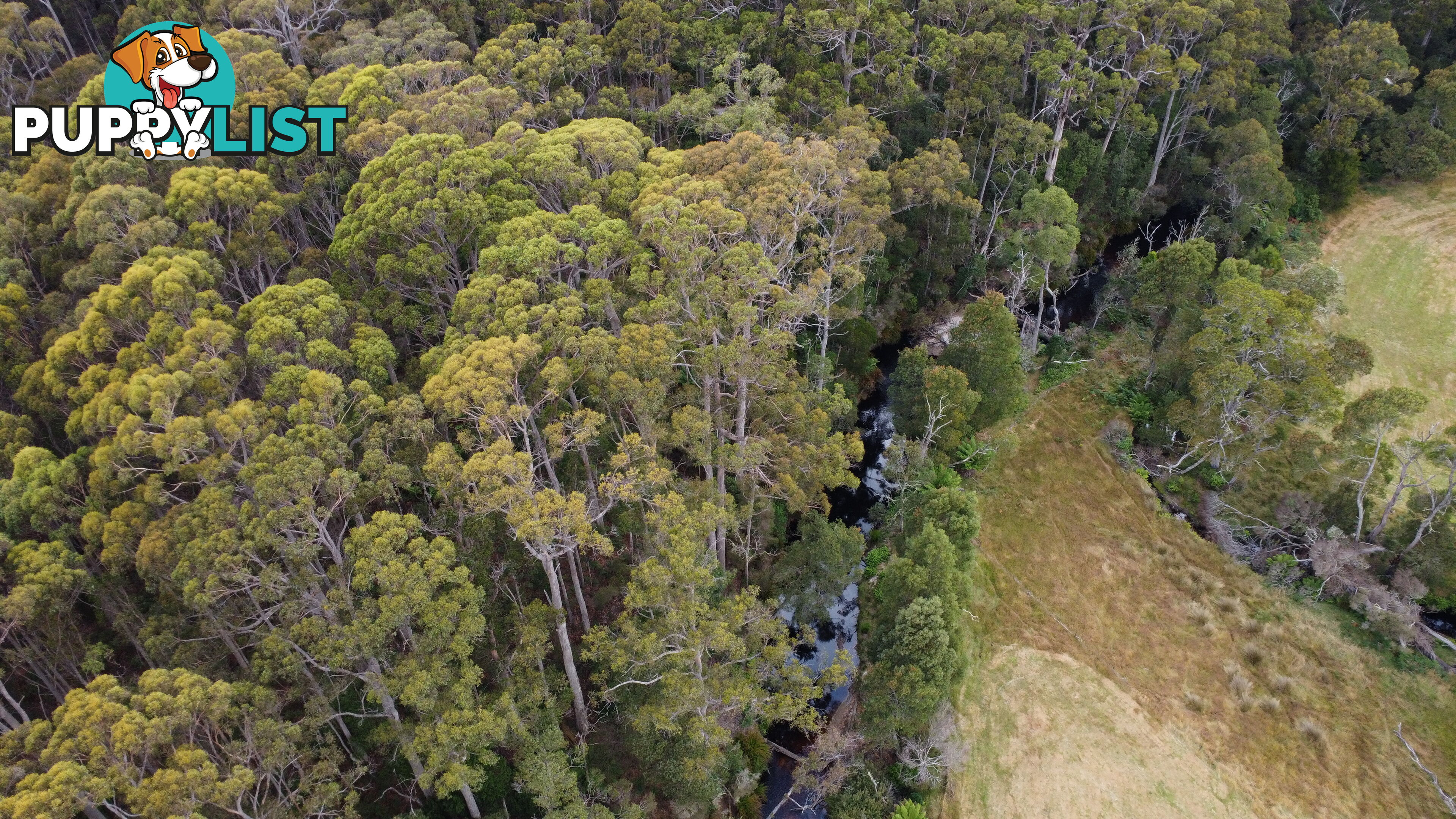 Lot 2 Coopers Road ROCKY CAPE TAS 7321