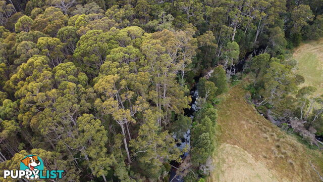 Lot 2 Coopers Road ROCKY CAPE TAS 7321