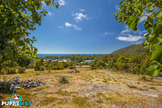 Lot 3 41 Banksia Avenue SISTERS BEACH TAS 7321