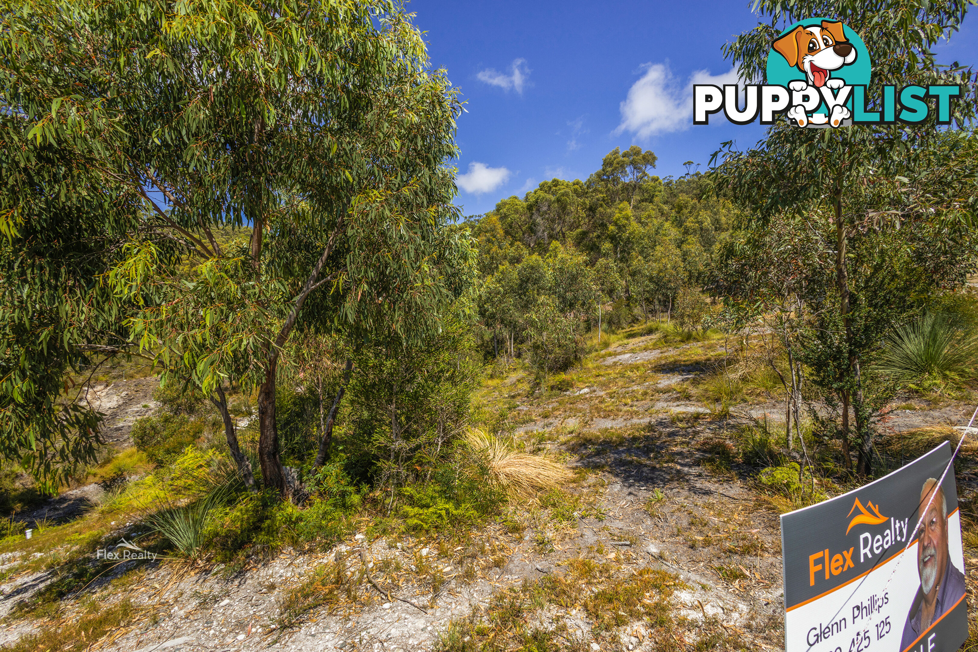 Lot 3 41 Banksia Avenue SISTERS BEACH TAS 7321
