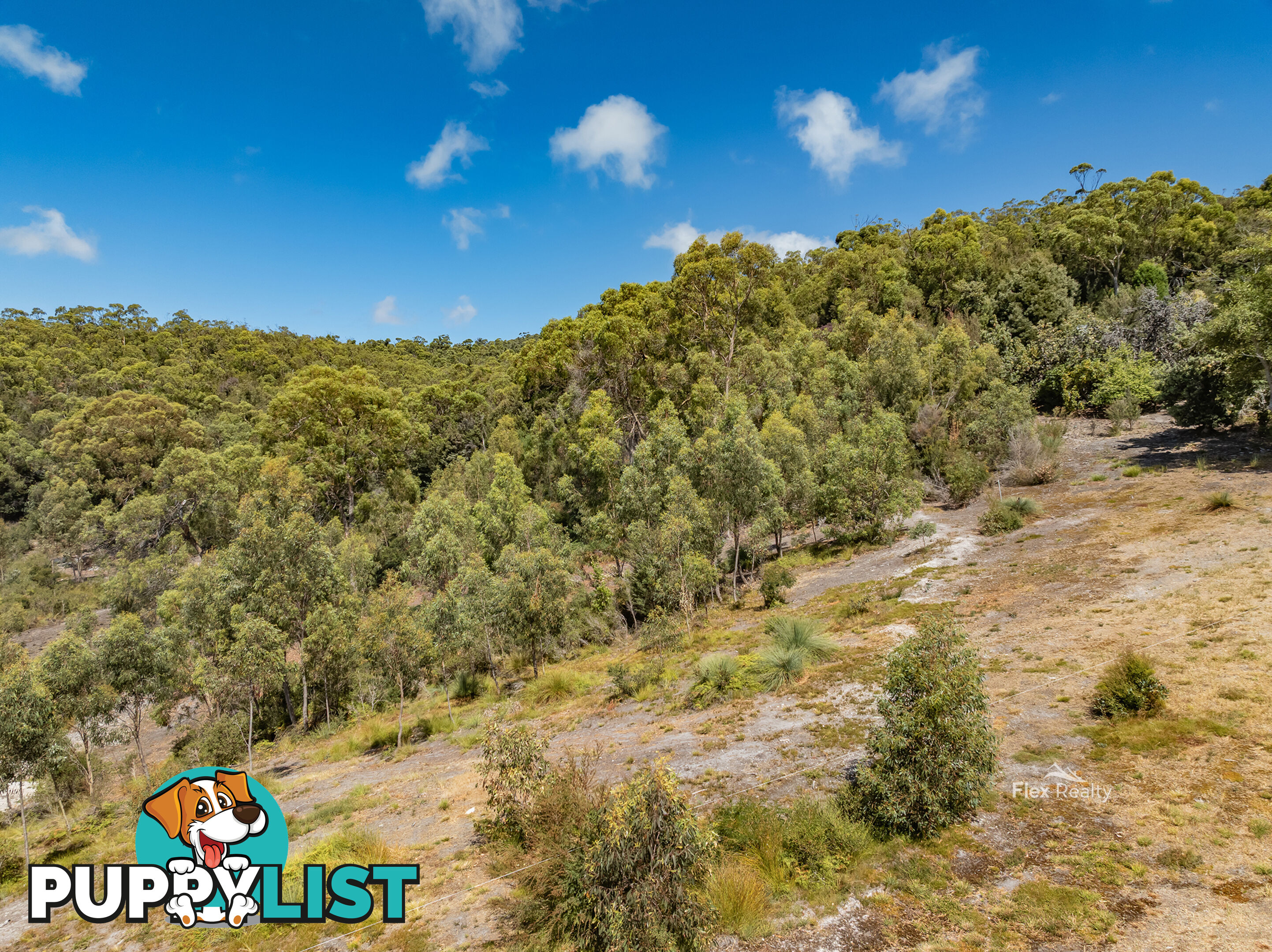 Lot 3 41 Banksia Avenue SISTERS BEACH TAS 7321