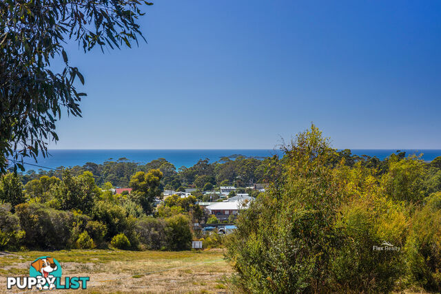 Lot 3 41 Banksia Avenue SISTERS BEACH TAS 7321