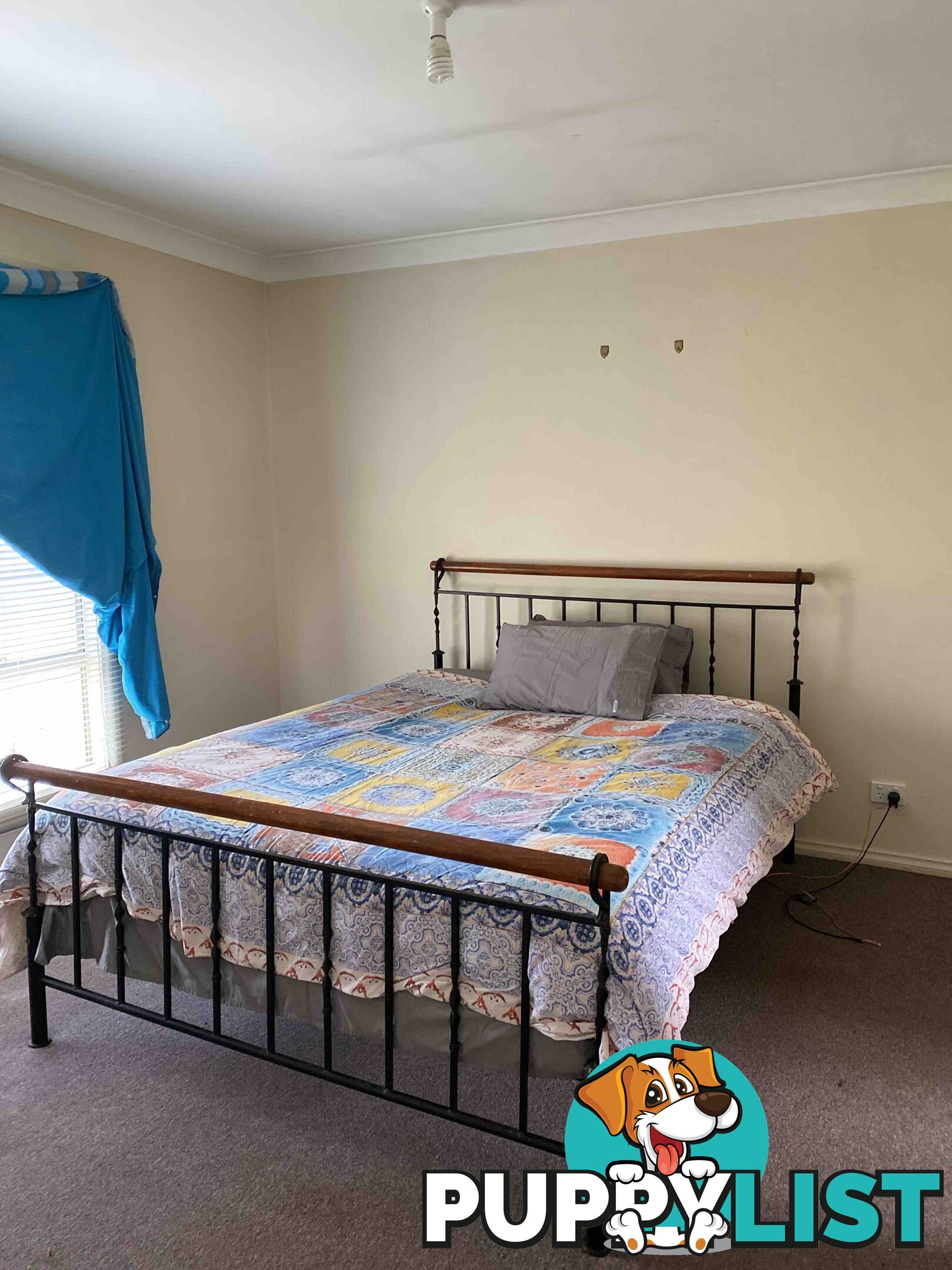 4 Robinson Street ZEEHAN TAS 7469