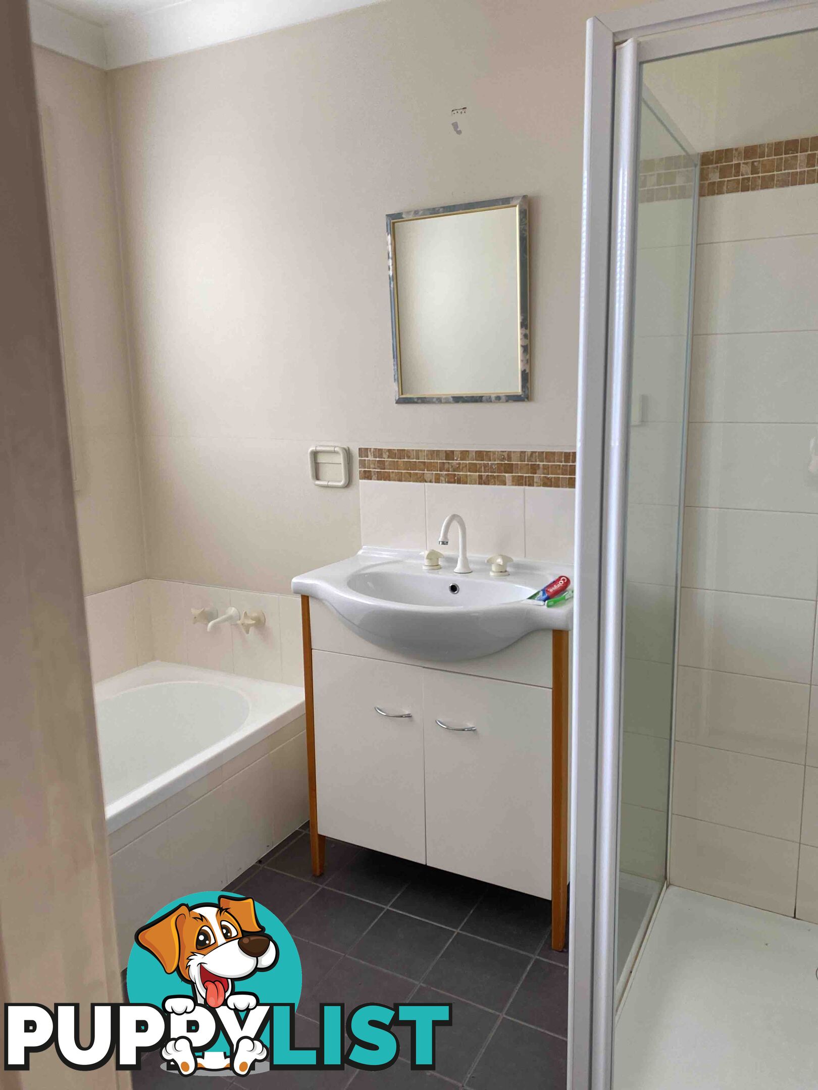 4 Robinson Street ZEEHAN TAS 7469